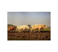 Lienzo y arte de pared con impresión moderna de The Plowing Nivernais The Sombrage de Rosa Bonheur, 30 x 45 cm