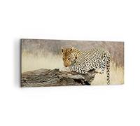 Lienzos decorativos 100x40cm Cuadro Sobre Lienzo Moderno África leopardo gato Safari Grande Dormitorio Cocina Cuadros Pared Imágenes Cuadros Decoracion Salon Wall Art Prints Decor AB100x40-2599