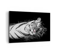 Lienzos decorativos 100x70cm Cuadro Sobre Lienzo Moderno Blanco Tigre Blanco Y Negro Grande Dormitorio Cocina Cuadros Pared Imágenes Cuadros Decoracion Salon Wall Art Prints Decor AA100x70-4247