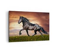 Lienzos decorativos 100x70cm Cuadro Sobre Lienzo Moderno Caballo animal Pradera Grande Dormitorio Cocina Cuadros Pared Imágenes Cuadros Decoracion Salon Wall Art Prints Decor Canvas AA100x70-2608