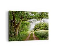 Lienzos decorativos 100x70cm Cuadro Sobre Lienzo Moderno Camino naturaleza bosque verde Grande Dormitorio Cocina Cuadros Pared Imágenes Cuadros Decoracion Salon Wall Art Prints Decor AA100x70-2637