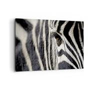 Lienzos decorativos 100x70cm Cuadro Sobre Lienzo Moderno Cebra rayas fauna safari Grande Dormitorio Cocina Cuadros Pared Imágenes Cuadros Decoracion Salon Wall Art Prints Decor Canvas AA100x70-2195