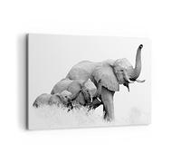 Lienzos decorativos 100x70cm Cuadro Sobre Lienzo Moderno Elefantes Familia Blanco Y Negro Grande Dormitorio Cocina Cuadros Pared Imágenes Cuadros Decoracion Salon Wall Art Prints Decor AA100x70-4374