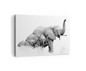Lienzos decorativos 100x70cm Cuadro Sobre Lienzo Moderno Elefantes Familia Blanco Y Negro Grande Dormitorio Cocina Cuadros Pared Imágenes Cuadros Decoracion Salon Wall Art Prints Decor AA100x70-4374