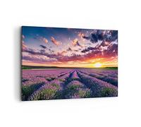 Lienzos decorativos 100x70cm Cuadro Sobre Lienzo Moderno lavanda montañas campo Grande Dormitorio Cocina Cuadros Pared Imágenes Cuadros Decoracion Salon Wall Art Prints Decor Canvas AA100x70-3816