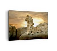 Lienzos decorativos 100x70cm Cuadro Sobre Lienzo Moderno Leones puesta de sol rocas garras Grande Dormitorio Cocina Cuadros Pared Imágenes Cuadros Decoracion Salon Wall Art Prints Decor AA100x70-2958