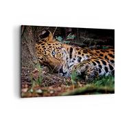 Lienzos decorativos 100x70cm Cuadro Sobre Lienzo Moderno Leopardo Retrato Jaguar Grande Dormitorio Cocina Cuadros Pared Imágenes Cuadros Decoracion Salon Wall Art Prints Decor Canvas AA100x70-4493