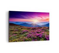 Lienzos decorativos 100x70cm Cuadro Sobre Lienzo Moderno Pradera Montaña Cielo Paisaje Grande Dormitorio Cocina Cuadros Pared Imágenes Cuadros Decoracion Salon Wall Art Prints Decor AA100x70-2719