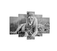 Lienzos decorativos 150x100cm Cuadro Sobre Lienzo Moderno león animal naturaleza Grande XXL Dormitorio Cuadros Pared Imágenes Tríptico 5 Piezas Cuadros Decoracion Salon Wall Art Prints EA150x100-3931