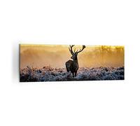 Lienzos decorativos 160x50cm Cuadro Sobre Lienzo Moderno Campo niebla la naturaleza el árbol Grande XXL Dormitorio Cuadros Pared Imágenes Cuadros Decoracion Salon Wall Art Prints Decor AB160x50-2428