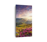 Lienzos decorativos 55x100cm Cuadro Sobre Lienzo Moderno Vertical Montañas Prado Paisaje bosque Grande Dormitorio Cuadros Pared Imágenes Cuadros Decoracion Salon Wall Art Prints Decor PA55x100-3152