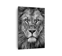 Lienzos decorativos 70x100cm Cuadro Sobre Lienzo Moderno Vertical Retrato León Blanco Y Negro Grande Dormitorio Cuadros Pared Imágenes Cuadros Decoracion Salon Wall Art Prints Decor PA70x100-4494
