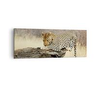 Lienzos decorativos África leopardo gato Safari Cuadro Sobre Lienzo Moderno 140x50cm Cuadros Decoracion Salon Dormitorio Cocina Cuadros Pared Imágenes Grande XXL Wall Art Prints Decor AB140x50-2599