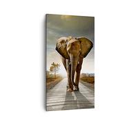 Lienzos decorativos Elefante camino campo Cuadro Sobre Lienzo Moderno Vertical 45x80cm Cuadros Decoracion Salon Dormitorio Cocina Cuadros Pared Imágenes Wall Art Prints Decor Canvas PA45x80-0214