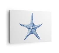 Lienzos decorativos Estrella De Mar Playa Arrecife De Coral Cuadro Sobre Lienzo Moderno 70x50cm Cuadros Decoracion Salon Dormitorio Cocina Cuadros Pared Imágenes Wall Art Prints Decor AA70x50-5742