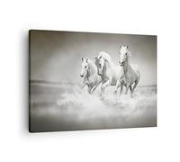 Lienzos decorativos Granja caballos galope libertad Cuadro Sobre Lienzo Moderno 70x50cm Cuadros Decoracion Salon Dormitorio Cocina Cuadros Pared Imágenes Wall Art Prints Decor Canvas AA70x50-2389