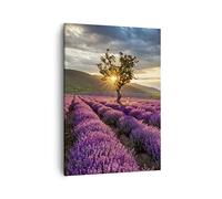 Lienzos decorativos lavanda montañas campo Cuadro Sobre Lienzo Moderno Vertical 50x70cm Cuadros Decoracion Salon Dormitorio Cocina Cuadros Pared Imágenes Wall Art Prints Decor Canvas PA50x70-3645