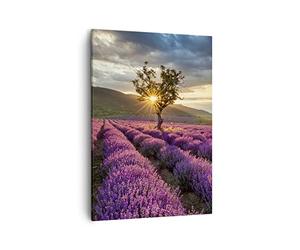 Lienzos decorativos lavanda montañas campo Cuadro Sobre Lienzo Moderno Vertical 50x70cm Cuadros Decoracion Salon Dormitorio Cocina Cuadros Pared Imágenes Wall Art Prints Decor Canvas PA50x70-3645