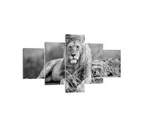 Lienzos decorativos león animal naturaleza Cuadro Sobre Lienzo Moderno 125x70cm Cuadros Decoracion Salon Dormitorio Cocina Cuadros Pared Imágenes Tríptico 5 Piezas Wall Art Prints Decor EA125x70-3931
