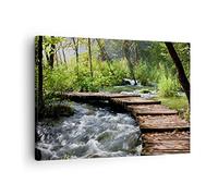 Lienzos decorativos Parque naturaleza verde árboles Cuadro Sobre Lienzo Moderno 70x50cm Cuadros Decoracion Salon Dormitorio Cocina Cuadros Pared Imágenes Wall Art Prints Decor Canvas AA70x50-0356