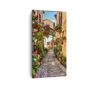 Lienzos decorativos Path Flores casa patio Cuadro Sobre Lienzo Moderno Vertical 45x80cm Cuadros Decoracion Salon Dormitorio Cocina Cuadros Pared Imágenes Wall Art Prints Decor Canvas PA45x80-3183