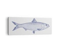 Lienzos decorativos Pez Animal Marino Estilo Costero Cuadro Sobre Lienzo Moderno 140x50cm Cuadros Decoracion Salon Dormitorio Cuadros Pared Imágenes Grande XXL Wall Art Prints Decor AB140x50-5383