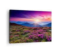 Lienzos decorativos Pradera Montaña Cielo Paisaje Cuadro Sobre Lienzo Moderno 70x50cm Cuadros Decoracion Salon Dormitorio Cocina Cuadros Pared Imágenes Wall Art Prints Decor Canvas AA70x50-2719