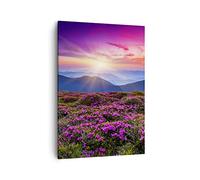 Lienzos decorativos Pradera Montaña Cielo Paisaje Cuadro Sobre Lienzo Moderno Vertical 50x70cm Cuadros Decoracion Salon Dormitorio Cocina Cuadros Pared Imágenes Wall Art Prints Decor PA50x70-2719
