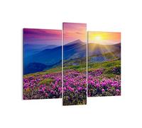 Lienzos decorativos Pradera montañas paisaje Cuadro Sobre Lienzo Moderno 95x80cm Cuadros Decoracion Salon Dormitorio Cuadros Pared Imágenes Tríptico 3 Piezas Grande Wall Art Prints Decor CB95x80-2676