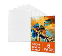 Lienzos para Pintar en Blanco (Pack de 5) 30 x 40 cm - Set Panel de Lienzo Grande Preestirado - Aptos para Pintura Acrílica y al Óleo - 100% Algodón sin Ácidos