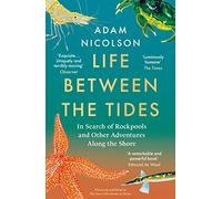 Life Between The Tides