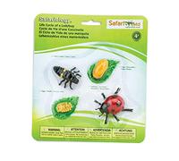Life Cycle of a Ladybug |Figuritas de juguete educativas | Juguetes Educativos para Niños | No tóxicas y Libres de BPA | Apto para Niños de 4+ | Safari Ltd