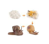Life Cycle of Frog Caracol Lombriz de Tierra Libélula Huevo Tadpole to Frog Safariology Figuras de Anfibio, Figuras de Animales de Bosque Plástico Proyecto Educativo para Niños