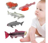 Life Cycle Toys - Figurines de animales realistas | Science Learning & Education Toys | Teaching Aids For Kids 3+, Frog Butterfly Ladybug Growth Stage Models, Preschool Activity Games, Gift For
