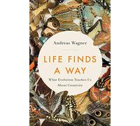 Life Finds a Way: What Evolution Teaches Us About Creativity