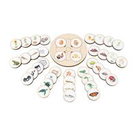Life Growth Cycle Board - Children Life Cycle Tray | Cartoon Puzzles Jigsaw | Wooden Board with Educational Design | Science Toy For Preschool, Infant, Early Learning, Classroom, Homeschool