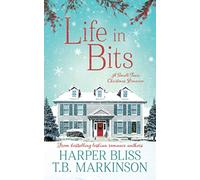 Life in Bits: A Lesbian Christmas Romance