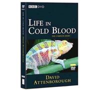 Life in Cold Blood [Reino Unido] [DVD]