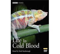 Life in Cold Blood [USA] [DVD]