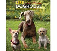 Life In The Doghouse [Edizione: Stati Uniti] [Italia] [Blu-ray]