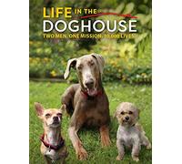 Life In The Doghouse - Life In The Doghouse [Italia] [DVD]