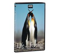 Life in the Freezer [USA] [DVD]