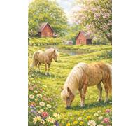 Life in the Meadow: A Gentle Country Journal for Reflection and Quiet Moments