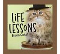 Life Lessons From Cats! (ebook)