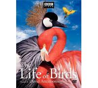 Life Of Birds (3 Dvd) [Edizione: Stati Uniti] [USA]