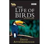Life Of Birds: Complete Series: 3dvd
