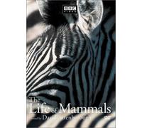 Life of Mammals 1 [USA] [DVD]