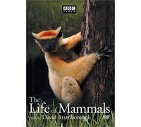 Life of Mammals 3 [USA] [DVD]