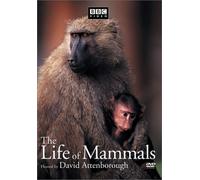 Life of Mammals 4 [USA] [DVD]