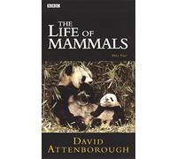 Life of Mammals Part 2 [Reino Unido] [VHS]